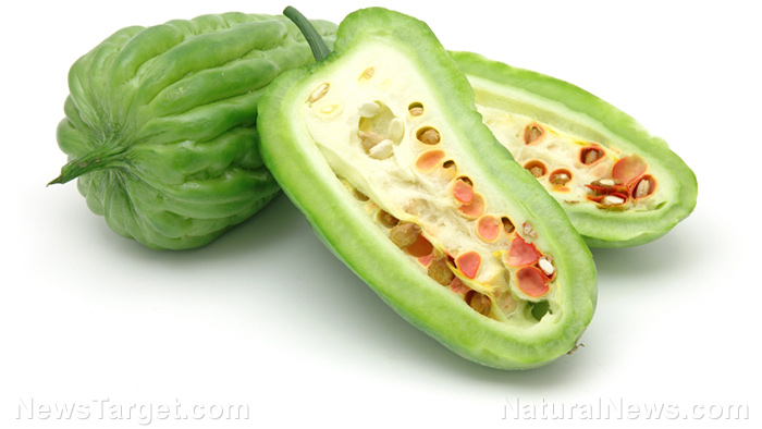 Researchers Identify Compound In Bitter Melon That Can Lower Blood Sugar Effectively